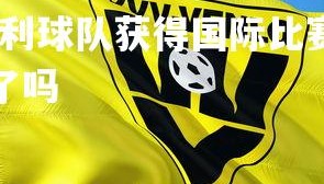 熊猫体育官网-意大利球队获得国际比赛胜利，意大利球队获得国际比赛胜利了吗