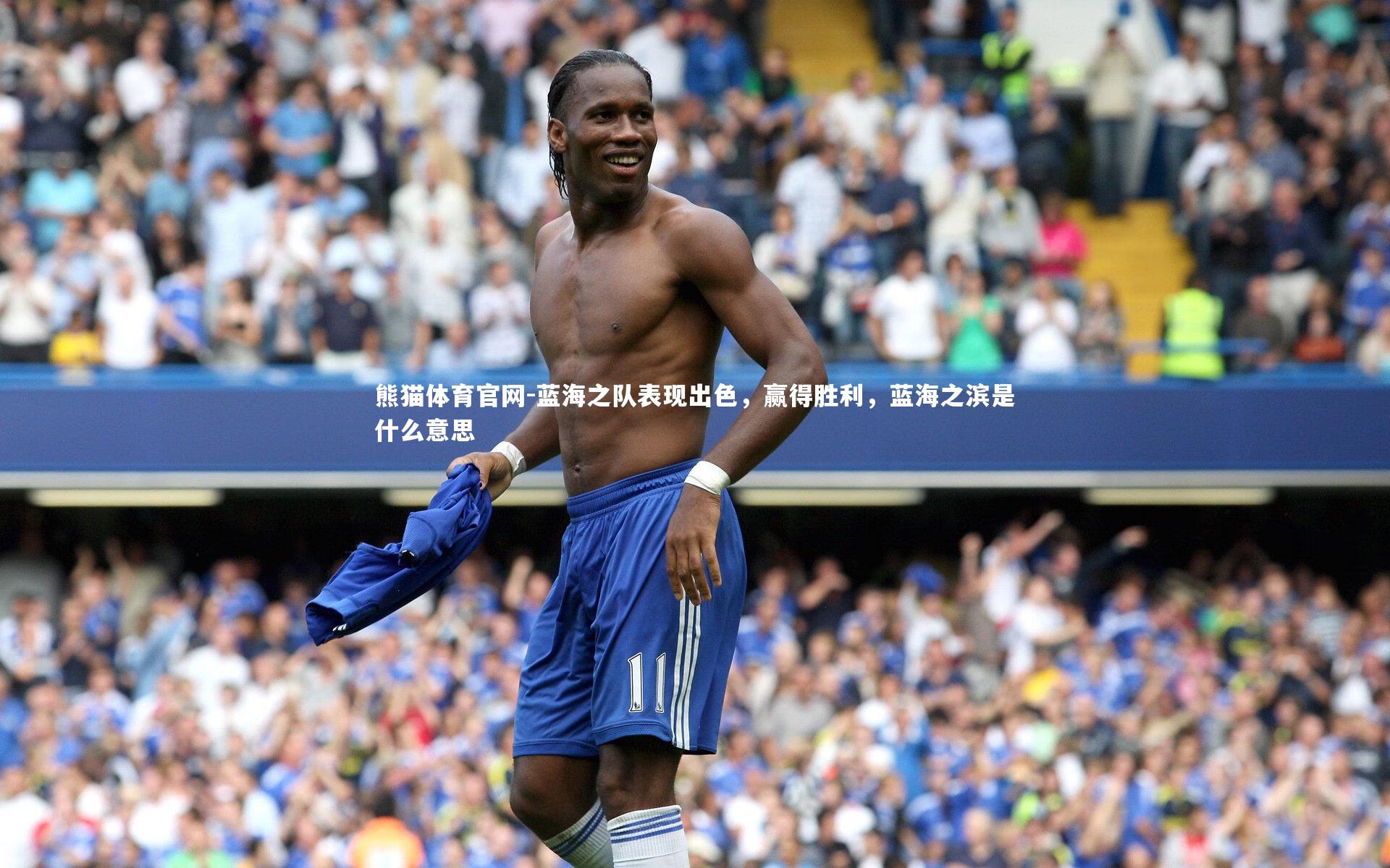 蓝海之队表现出色，赢得胜利，蓝海之滨是什么意思