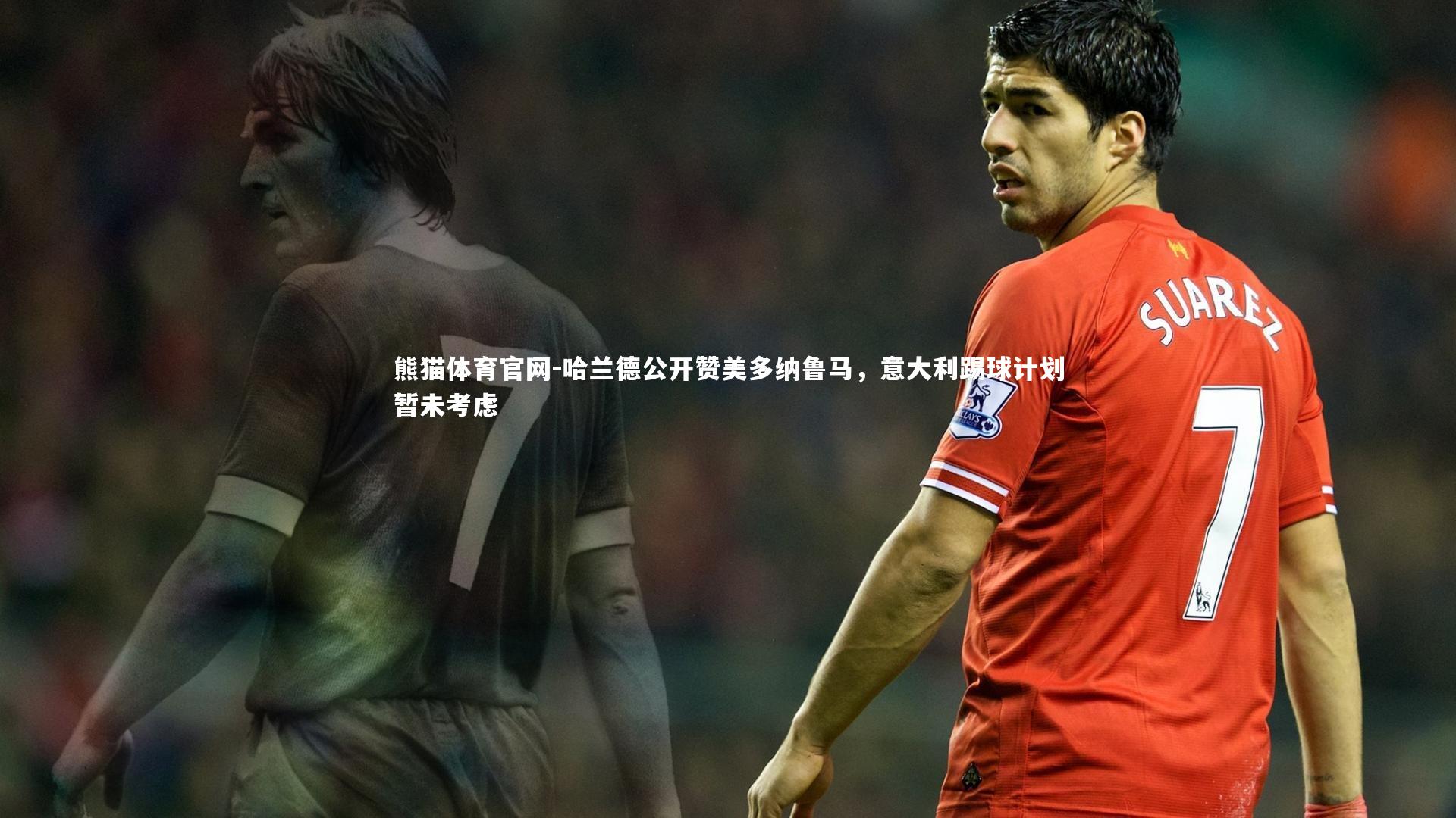哈兰德公开赞美多纳鲁马,意大利踢球计划暂未考虑